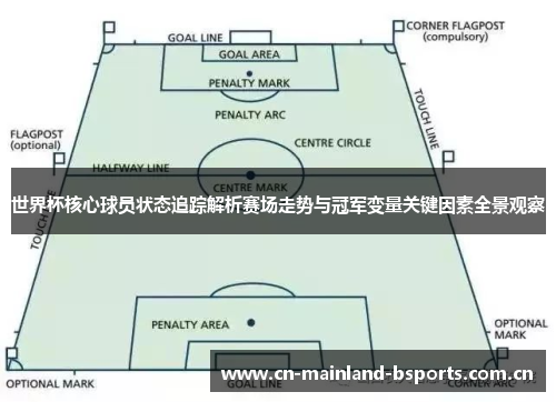 世界杯核心球员状态追踪解析赛场走势与冠军变量关键因素全景观察